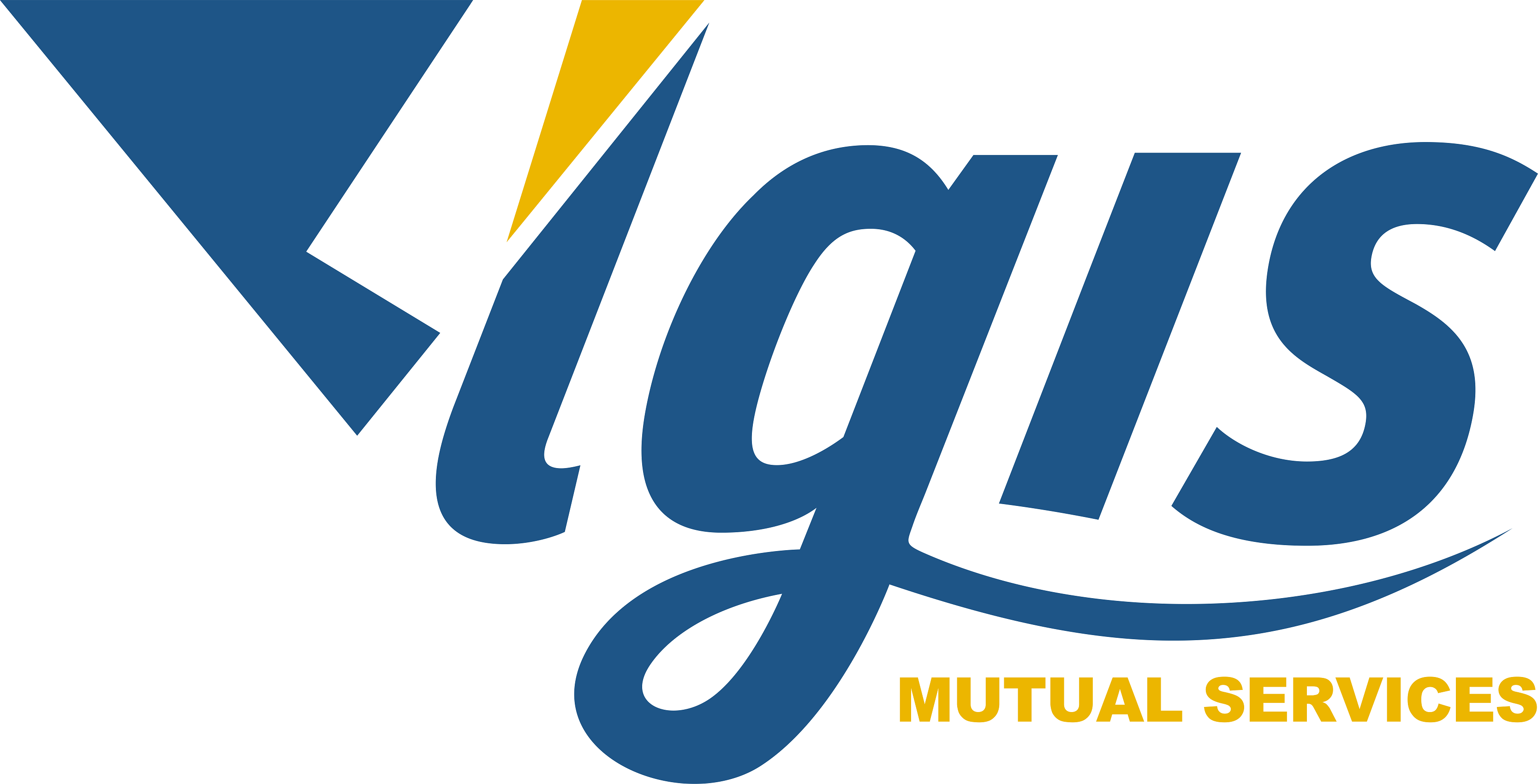 LGIS Logo